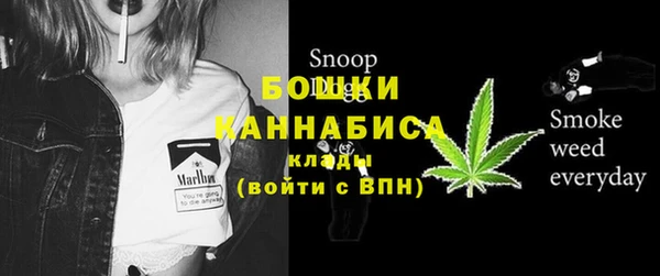 прущие грибы Баксан