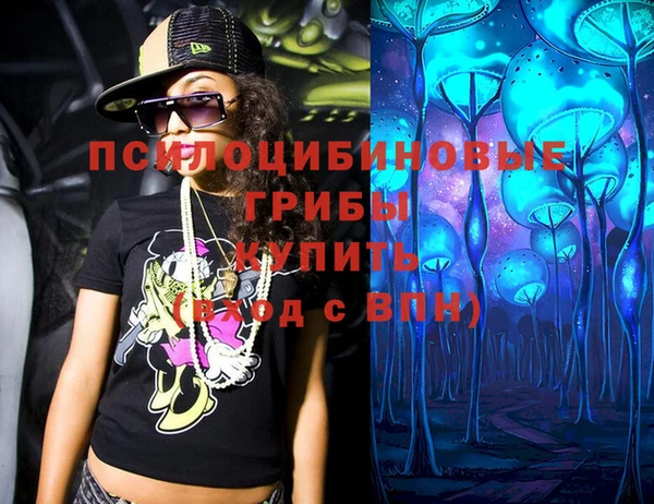 прущие грибы Баксан