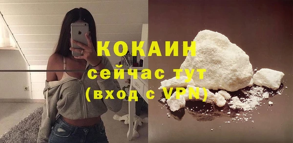 прущие грибы Баксан