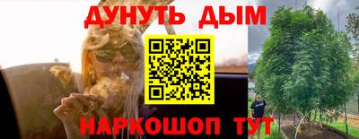 прущая мука Дубна