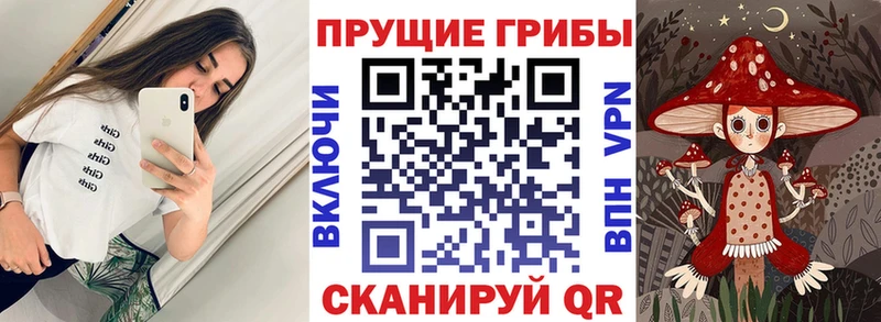где продают   Калуга  ссылка на мегу вход  Галлюциногенные грибы Cubensis 